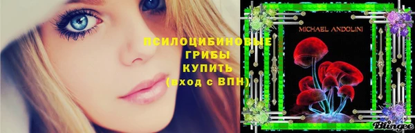 СК Коряжма