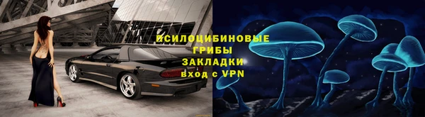 СК Коряжма