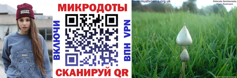 Купить  Десногорск  Псилоцибиновые грибы Magic Shrooms 